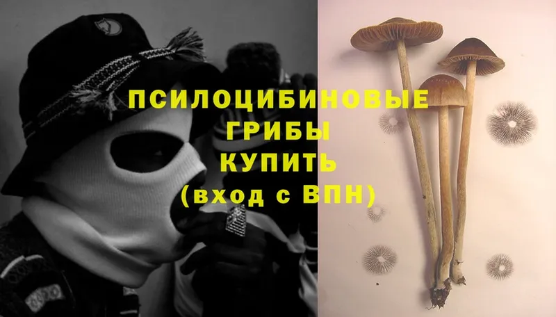 Галлюциногенные грибы MAGIC MUSHROOMS  Феодосия 